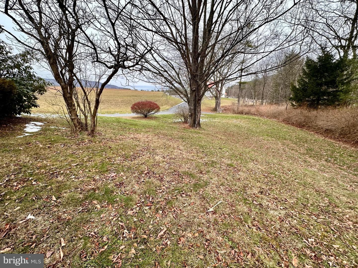 242 Gracey Road photo 3