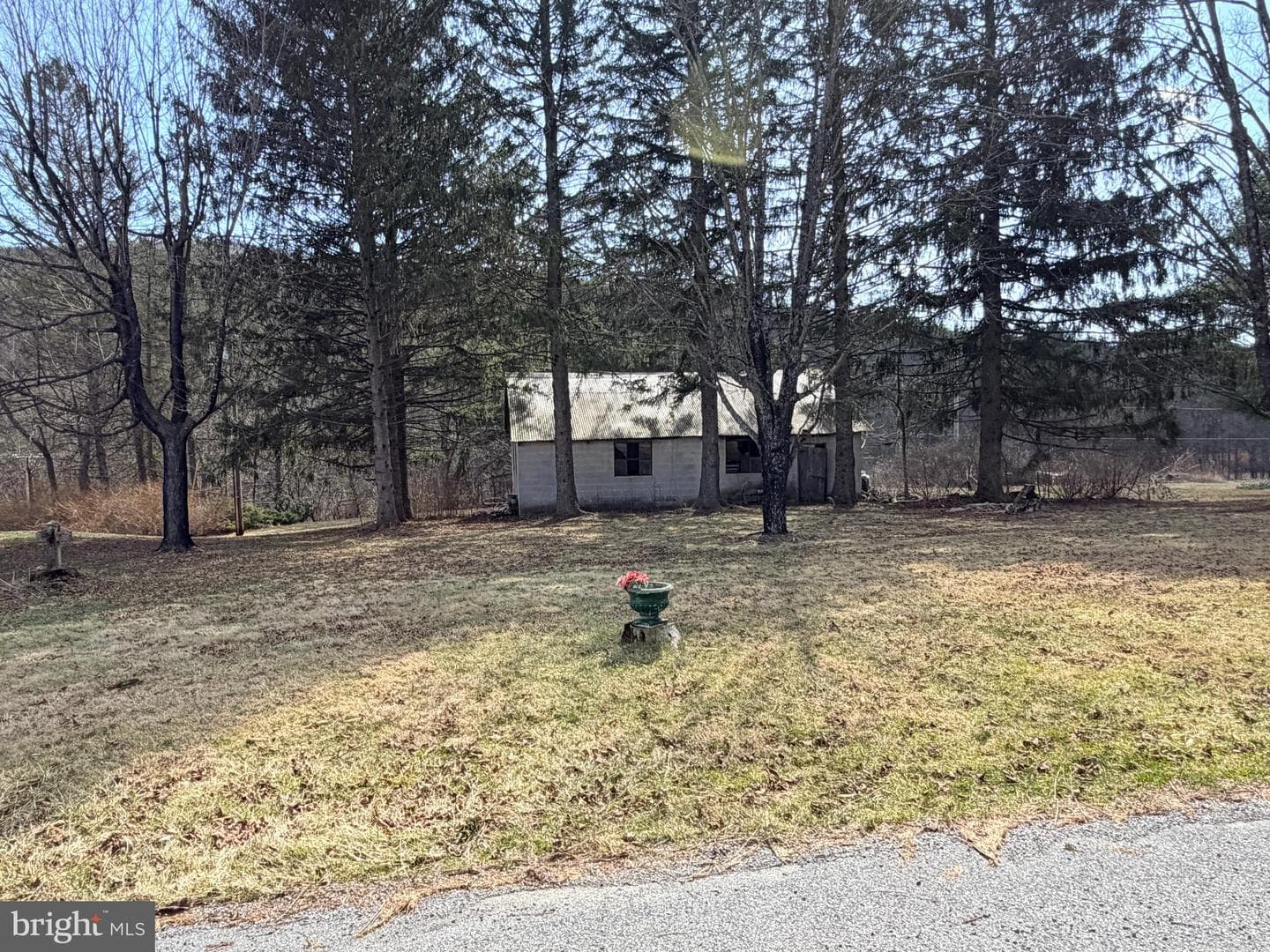 242 Gracey Road photo 37
