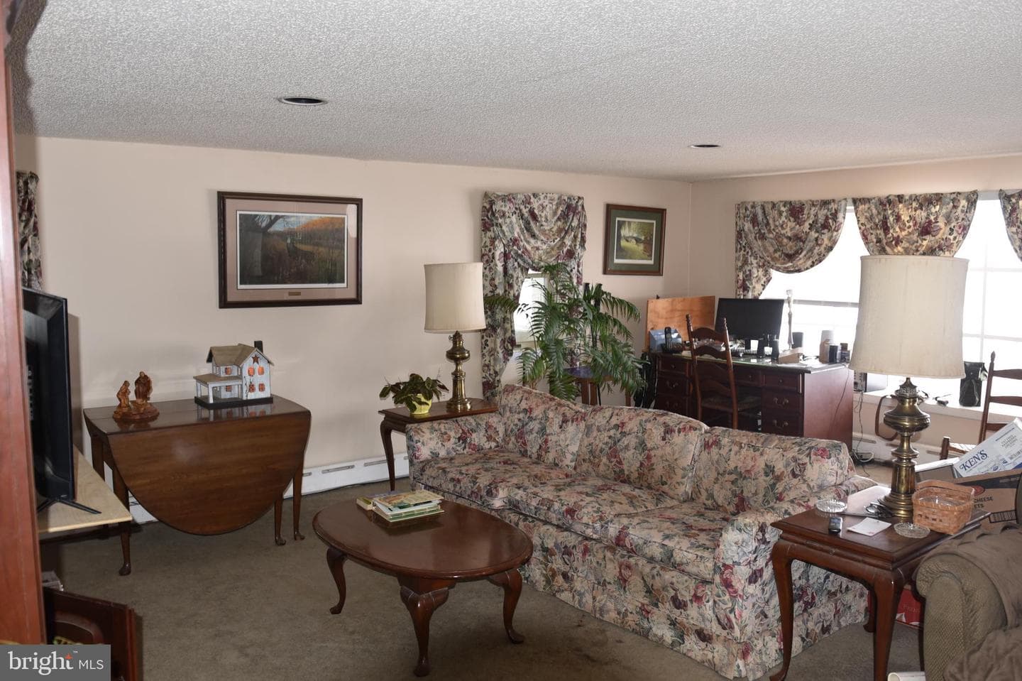 478 Shady Grove Drive photo 10