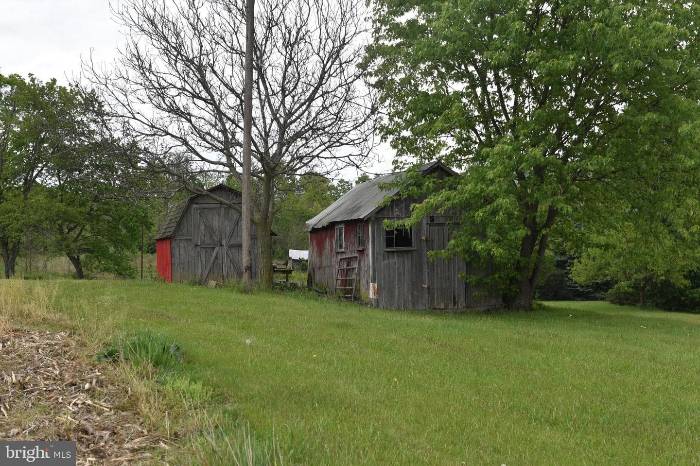 478 Shady Grove Drive photo 4