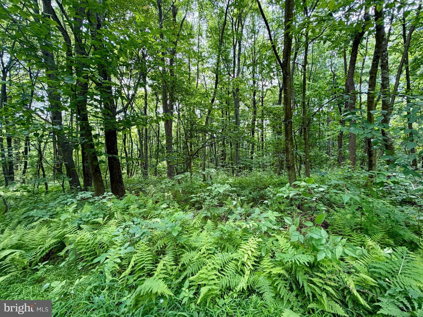 190 Thunder Rock Road photo 24