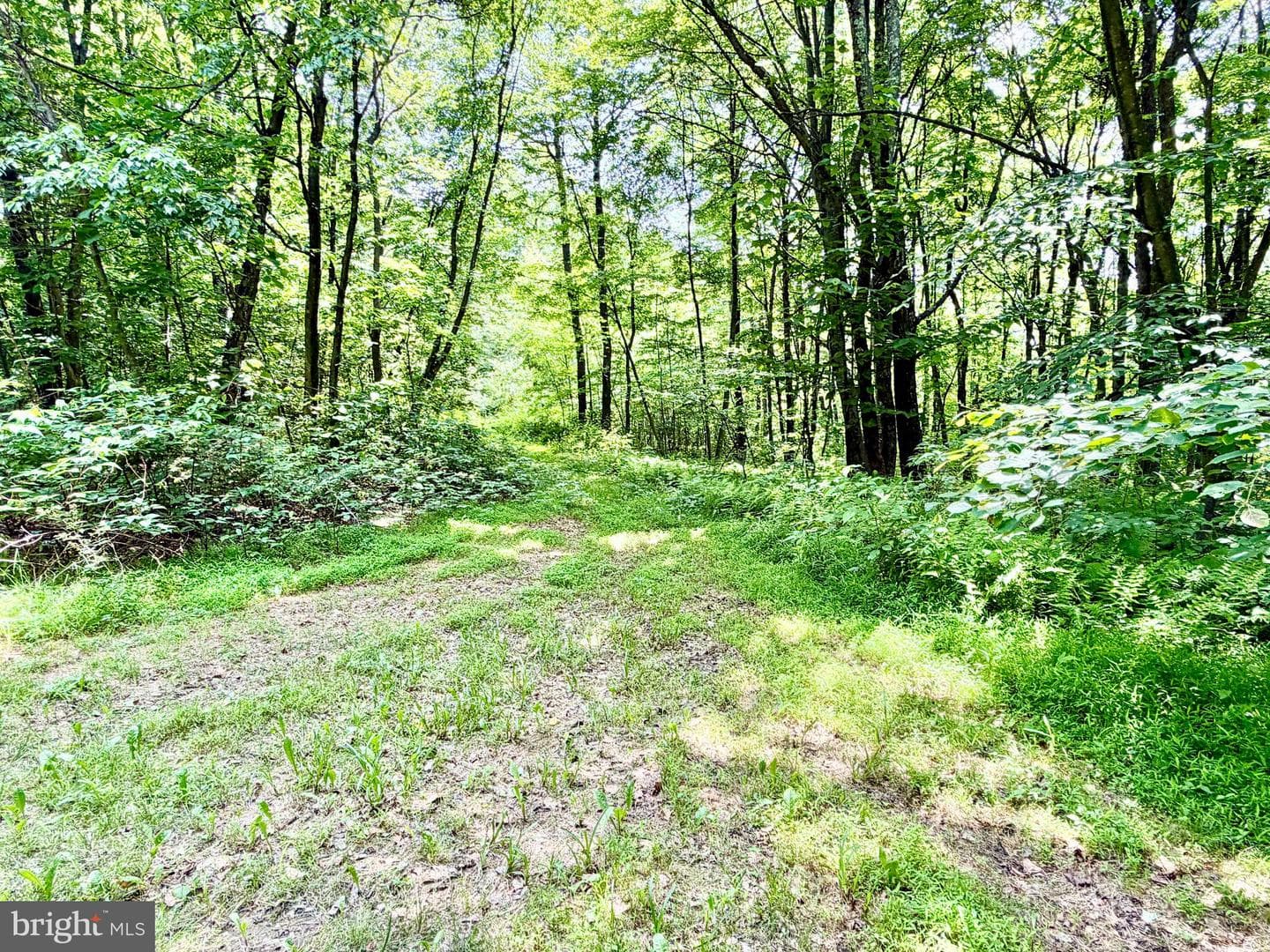 190 Thunder Rock Road photo 25