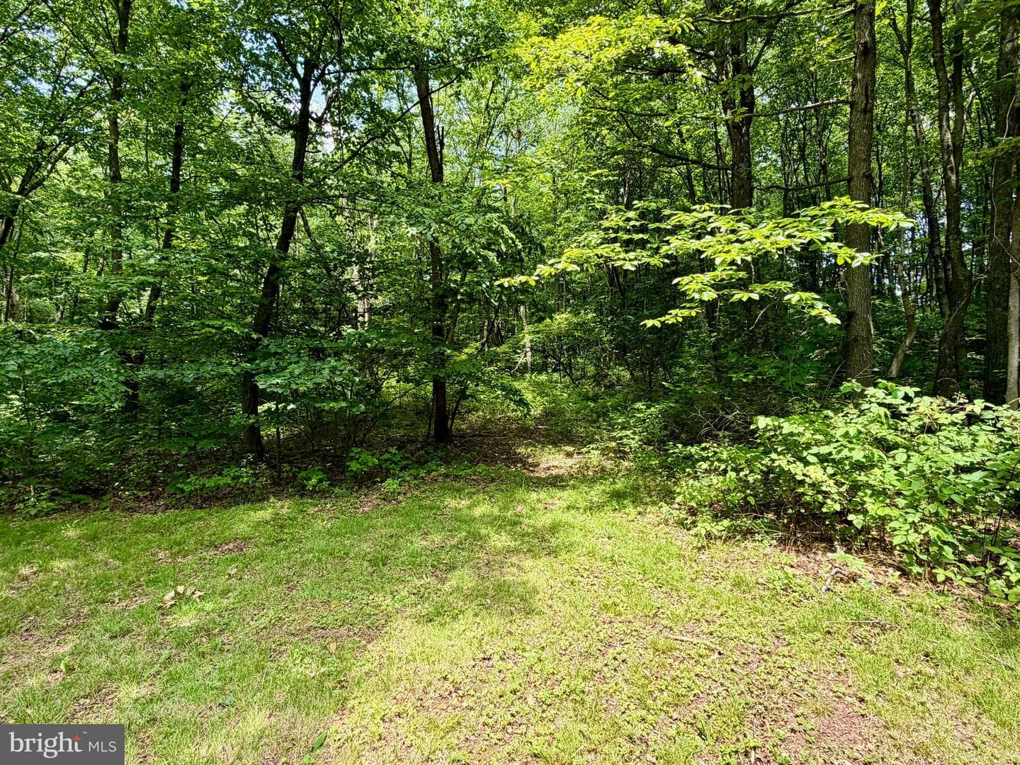 190 Thunder Rock Road photo 26