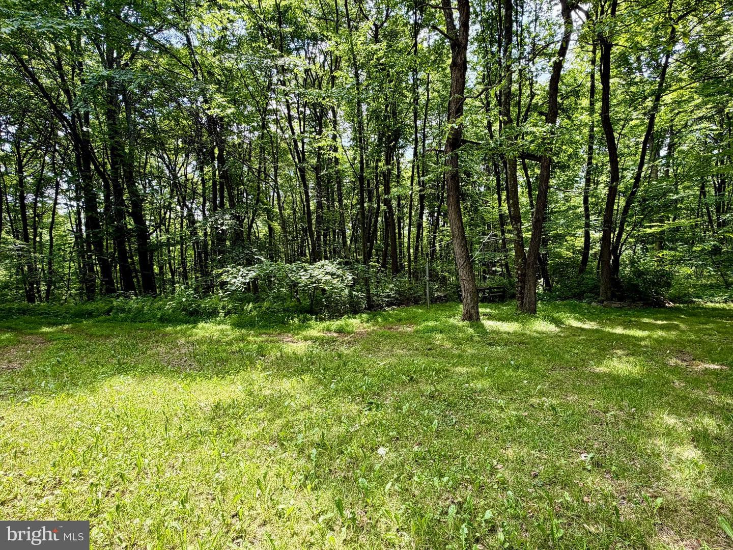 190 Thunder Rock Road photo 27
