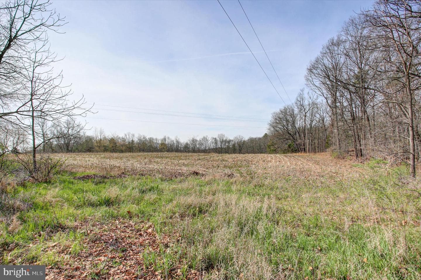 1000 Saw Mill Road photo 29
