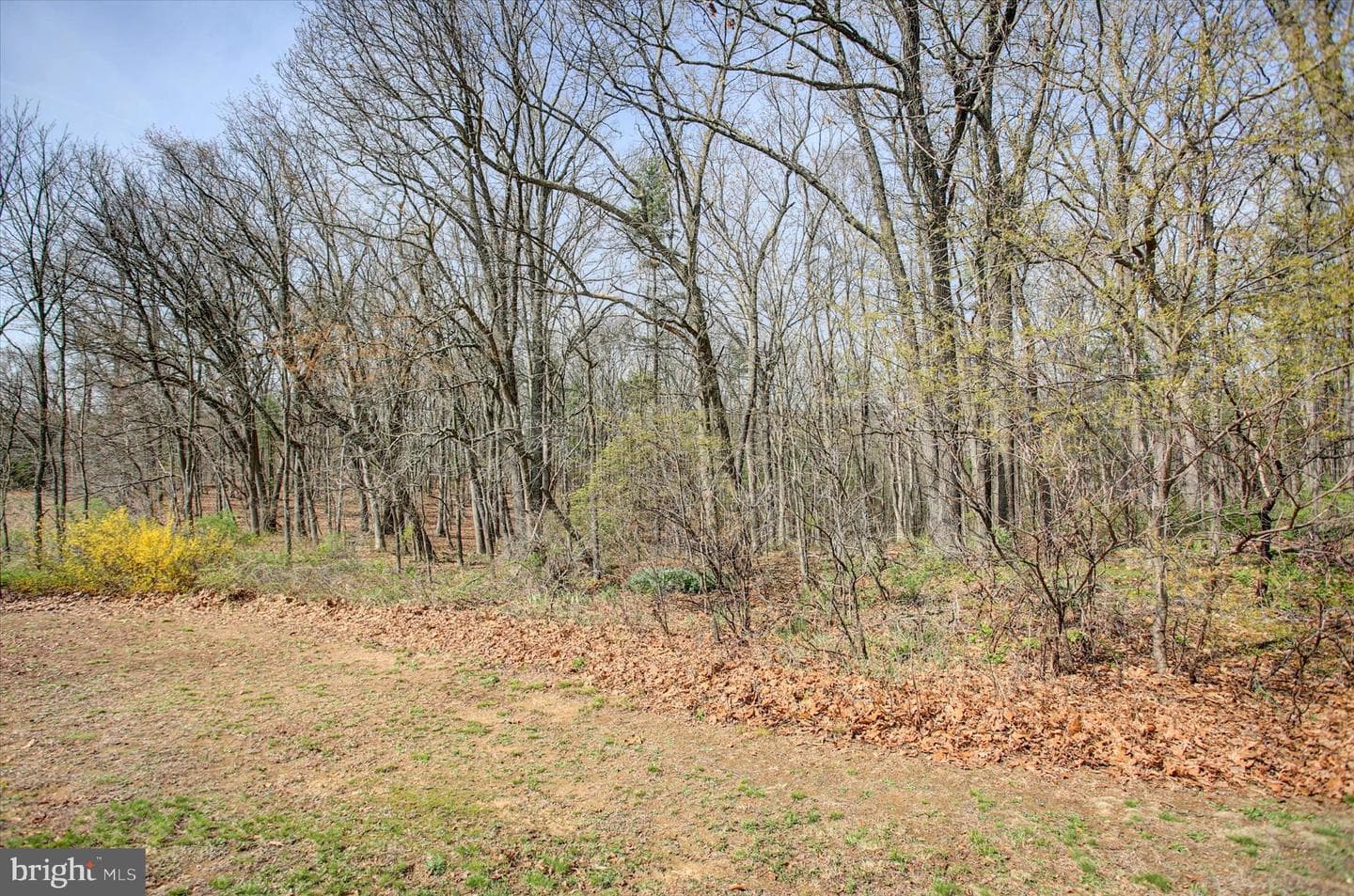 1000 Saw Mill Road photo 35