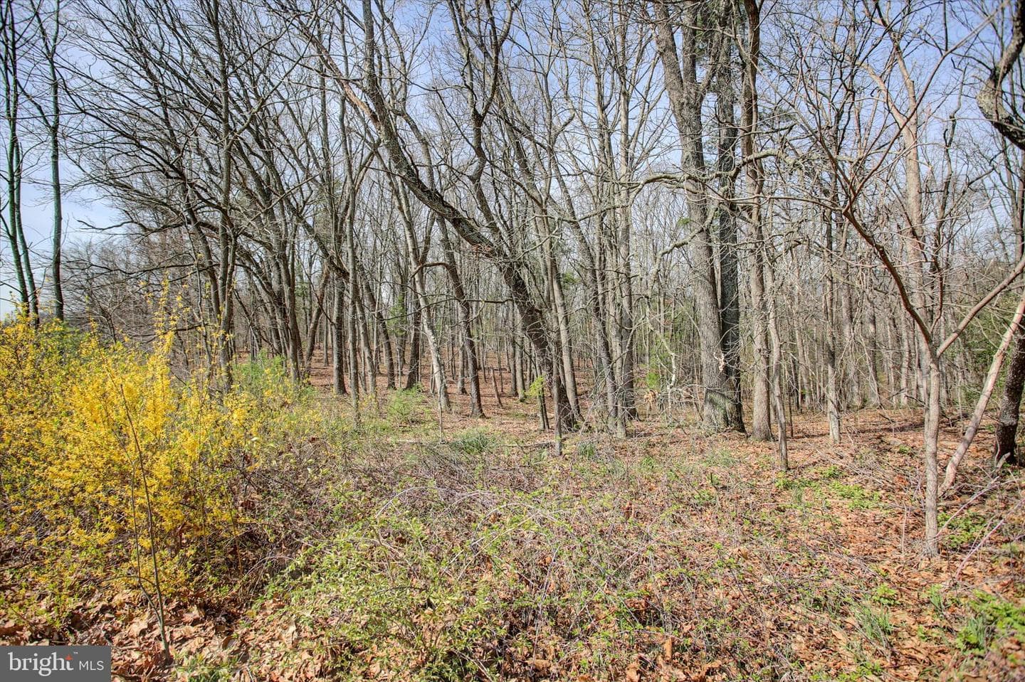 1000 Saw Mill Road photo 36