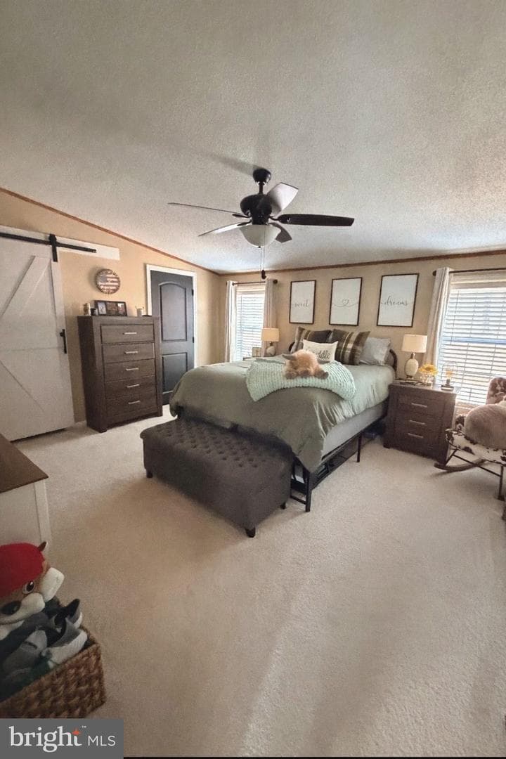 219 Mallard Run Road photo 38
