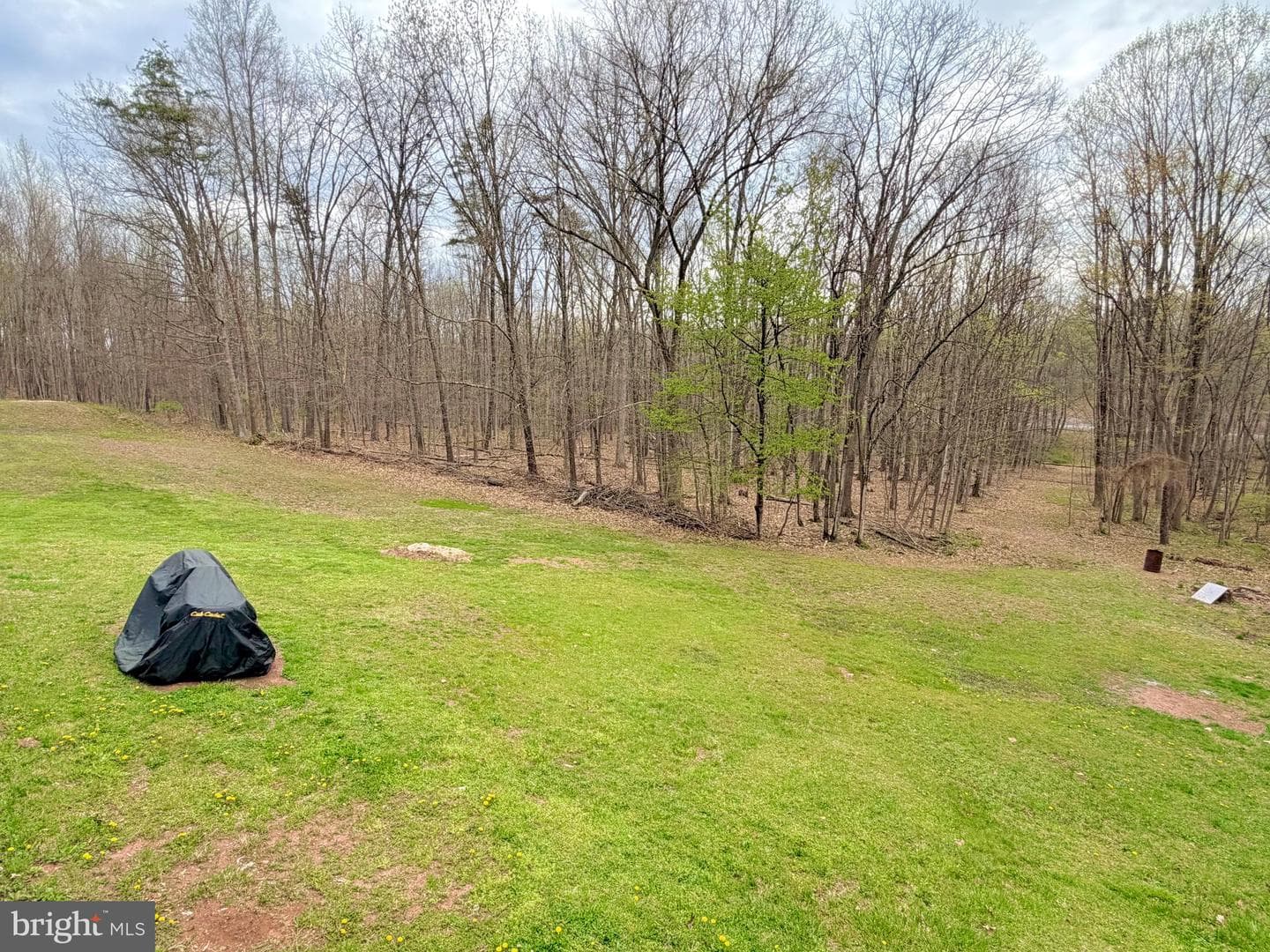 219 Mallard Run Road photo 53
