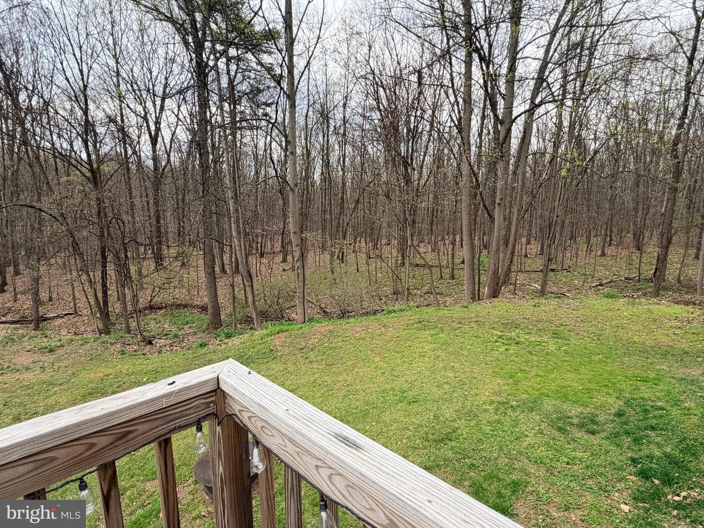 219 Mallard Run Road photo 54