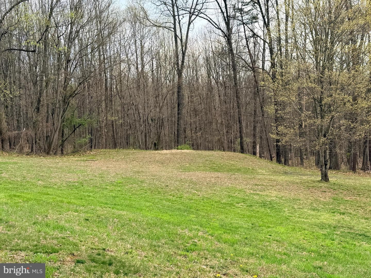 219 Mallard Run Road photo 59