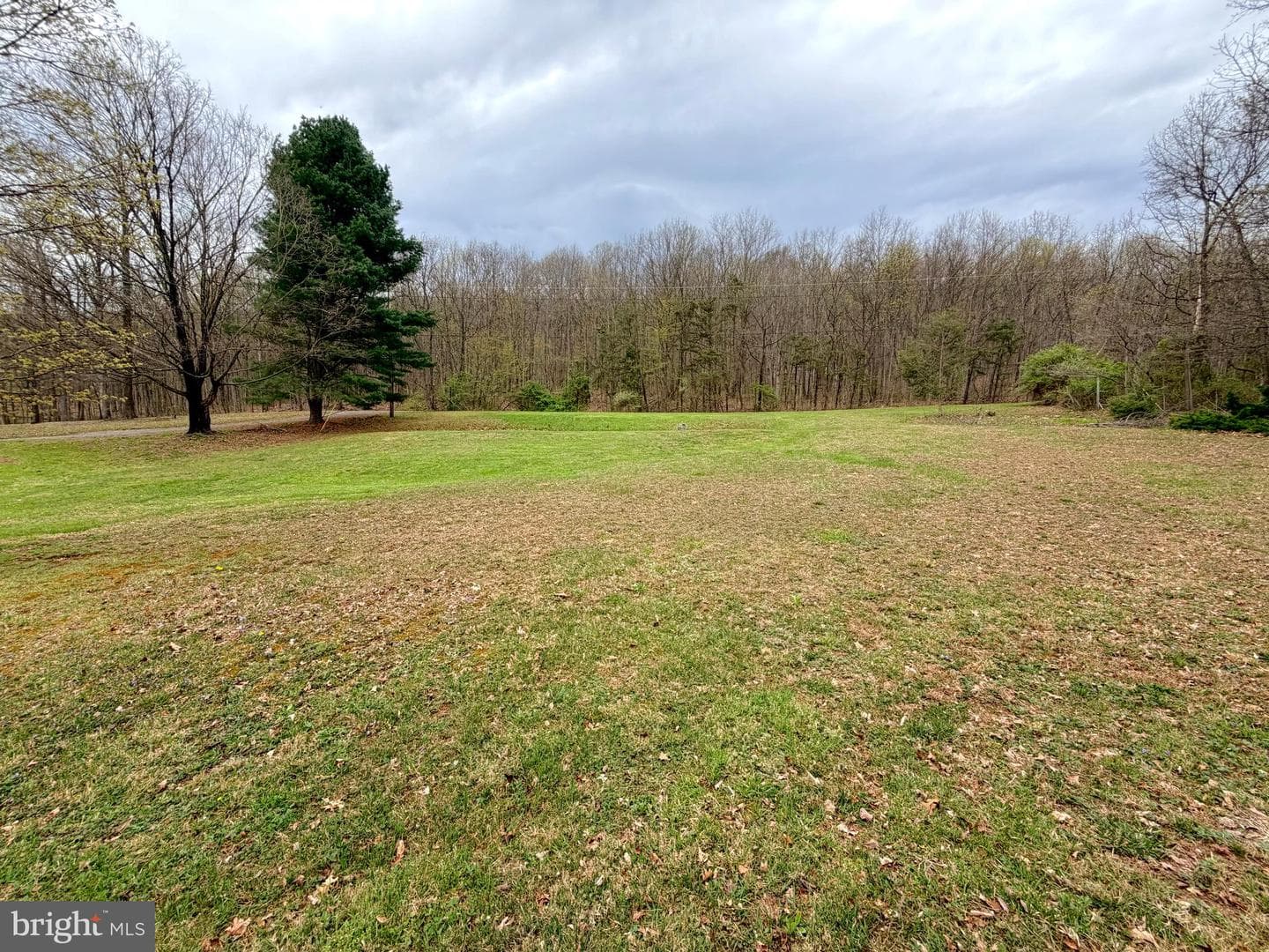 219 Mallard Run Road photo 60