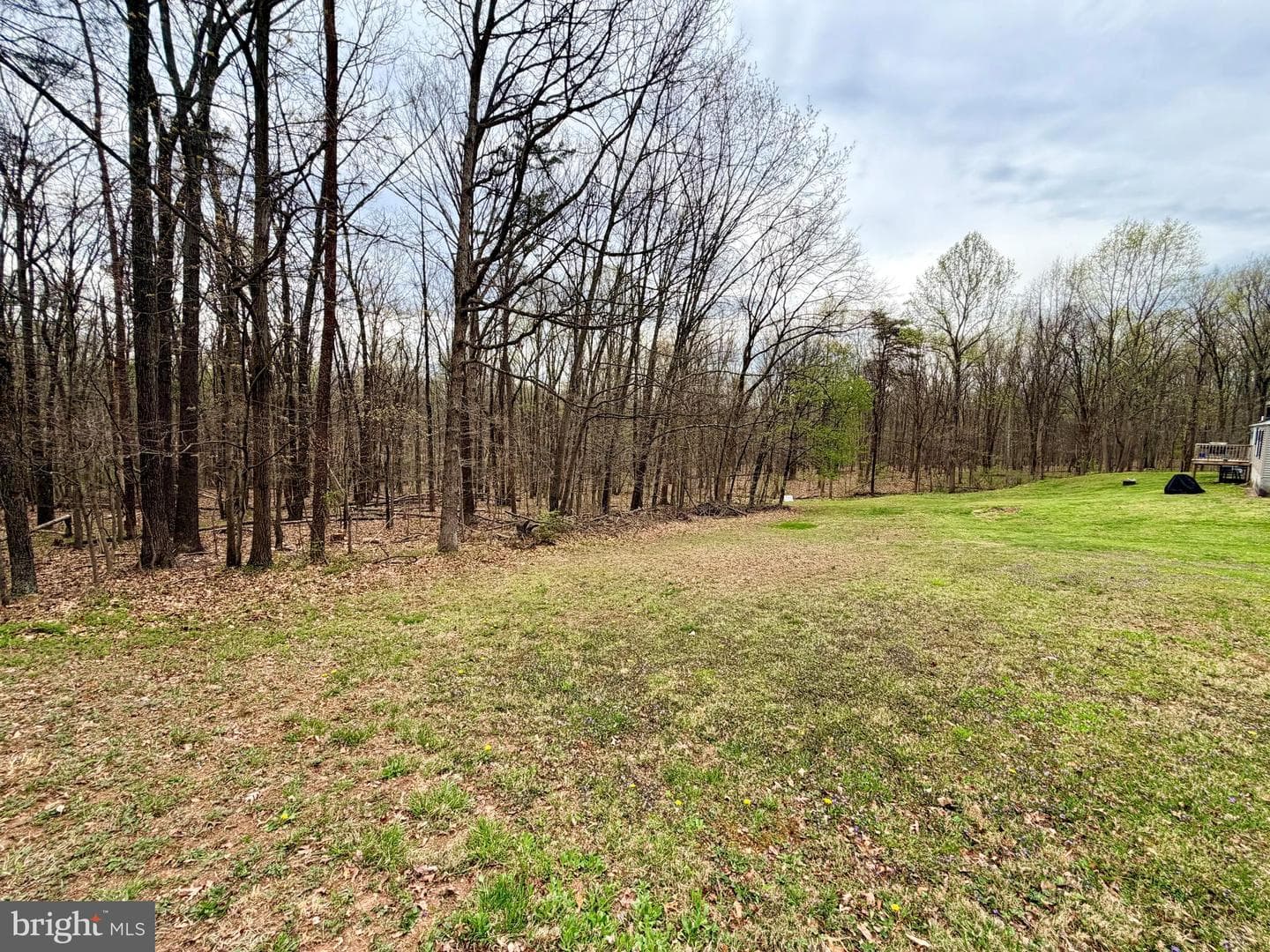 219 Mallard Run Road photo 62