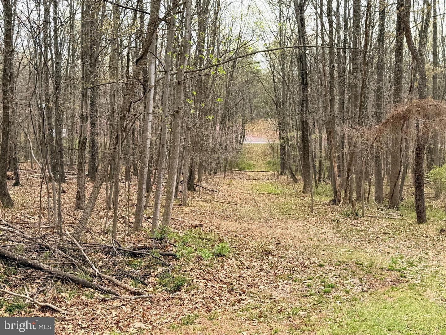 219 Mallard Run Road photo 65