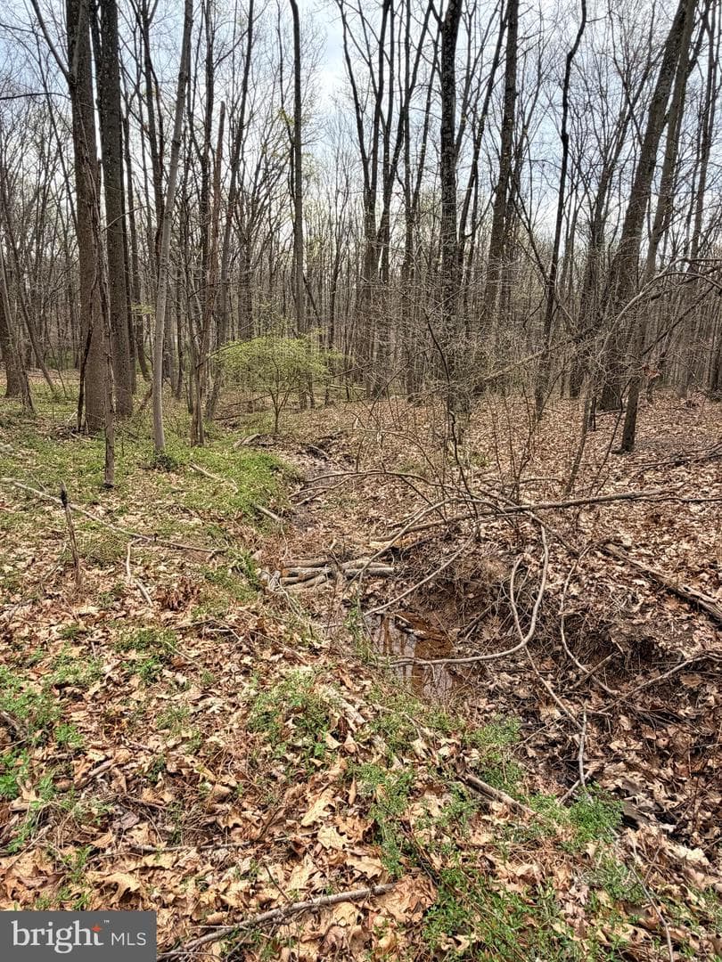 219 Mallard Run Road photo 66