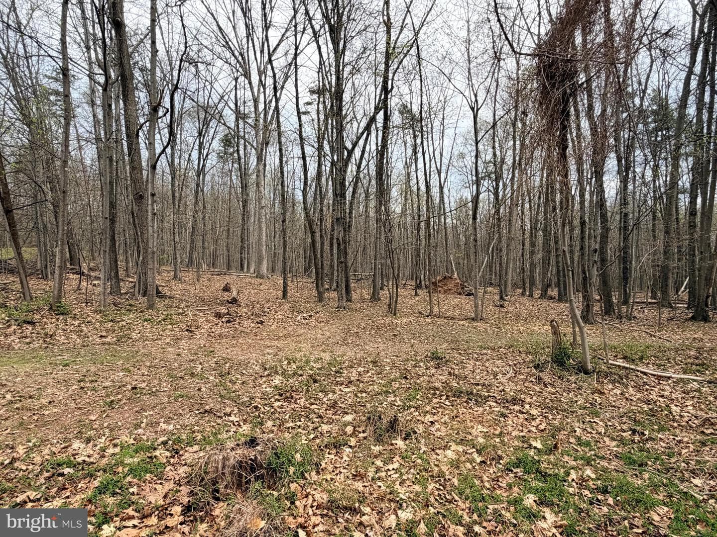 219 Mallard Run Road photo 67