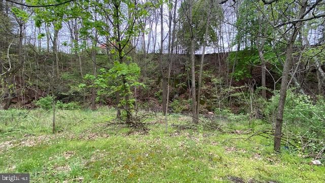 201 Hoover Road photo 42