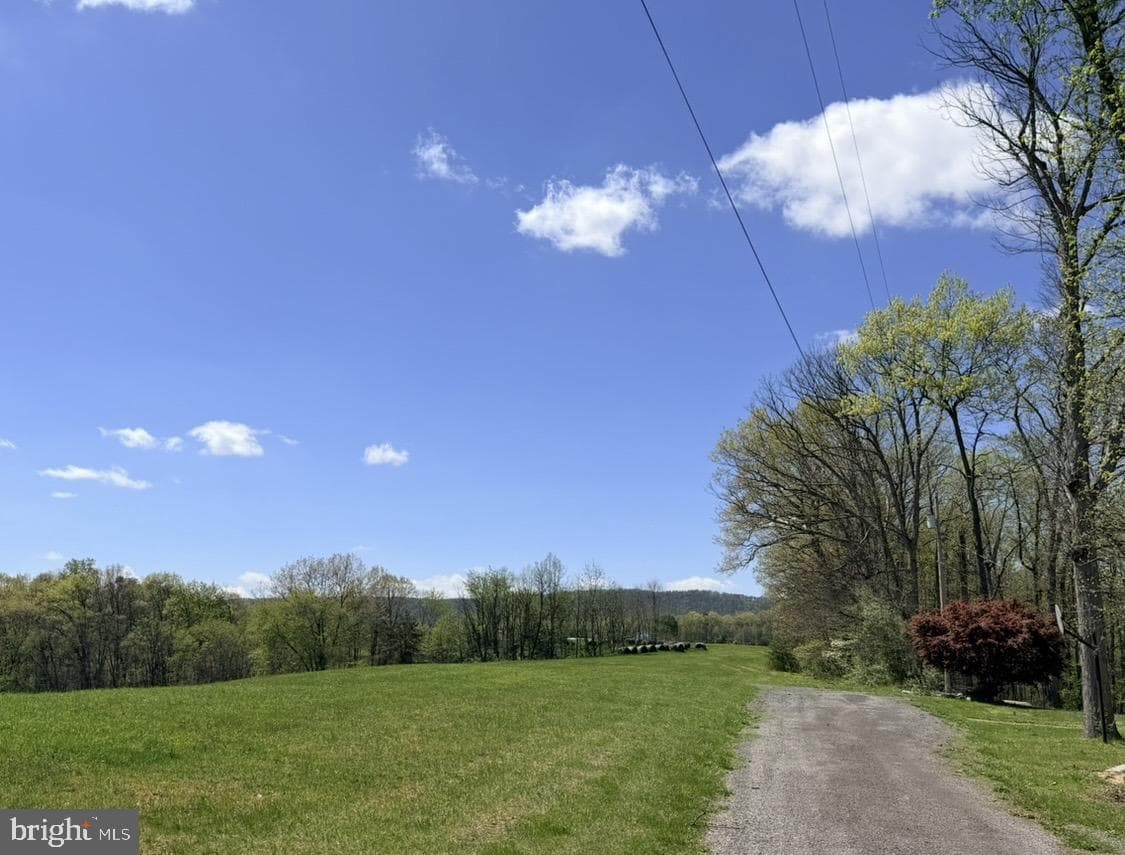 2111 Black Oak photo 81