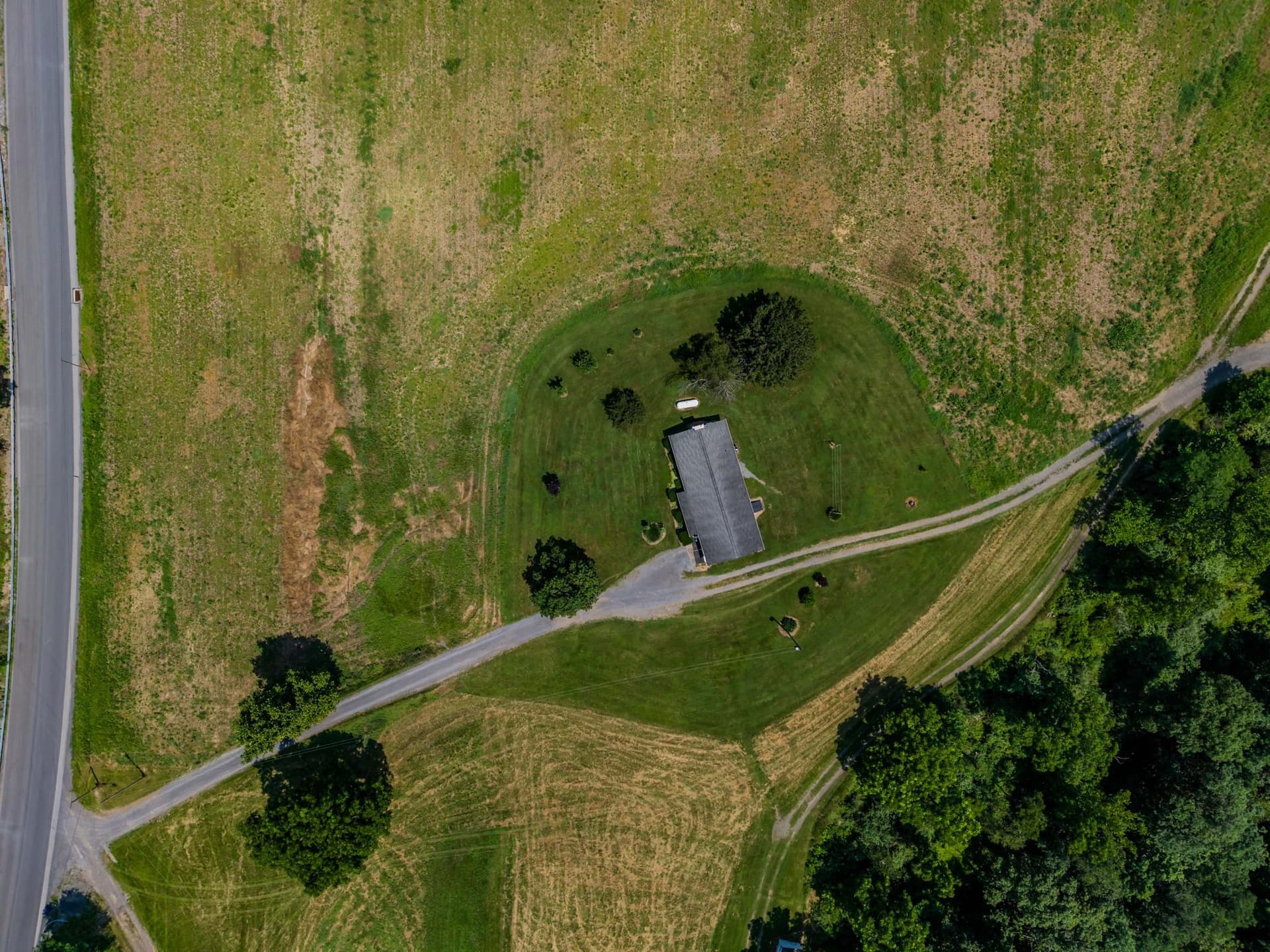7296 Thompson Road photo 3