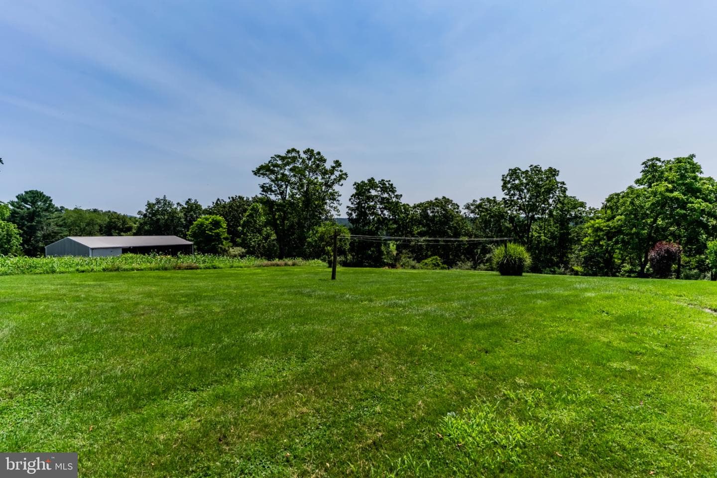 7296 Thompson Road photo 35