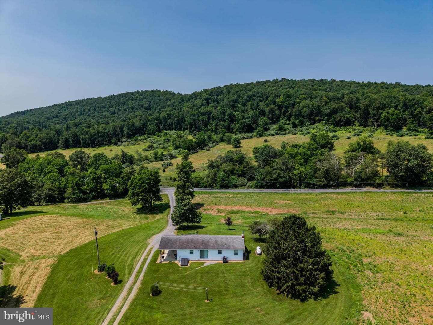 7296 Thompson Road photo 4