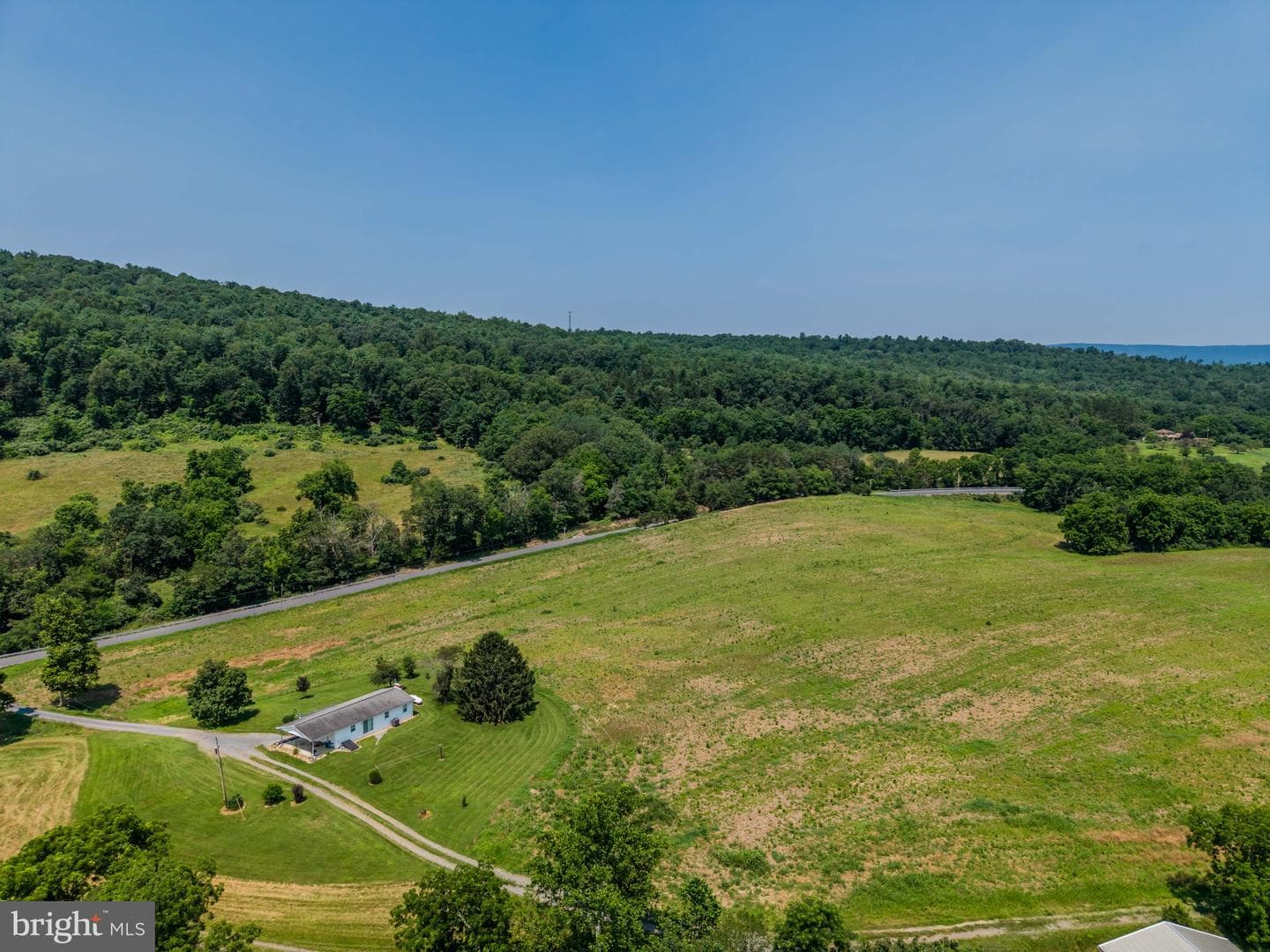 7296 Thompson Road photo 5