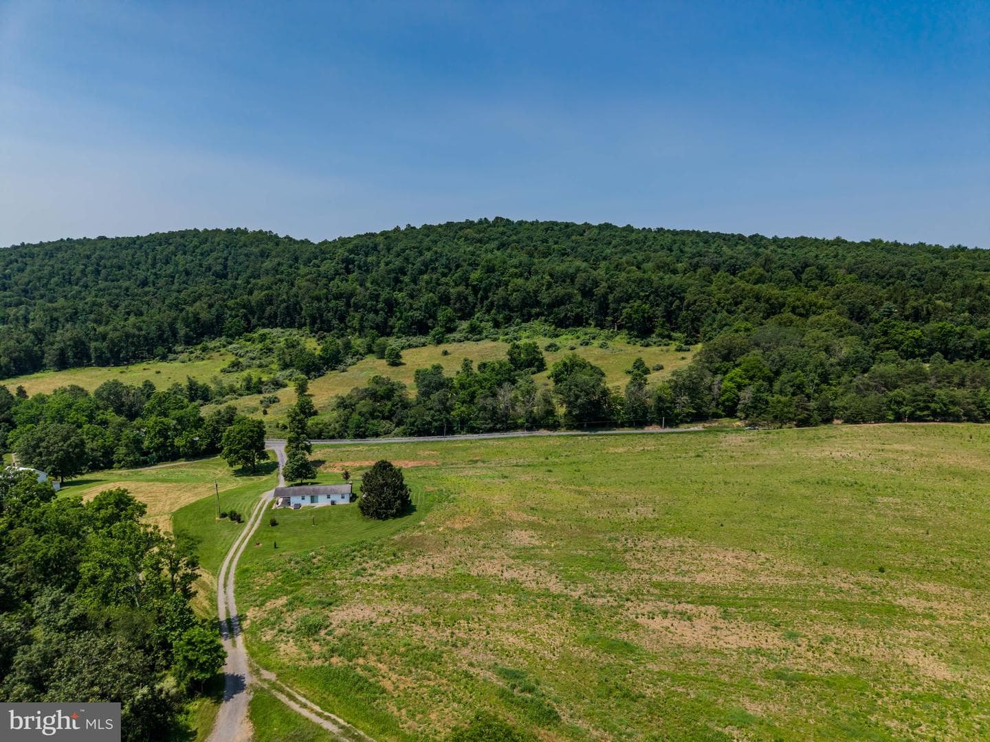 7296 Thompson Road photo 6