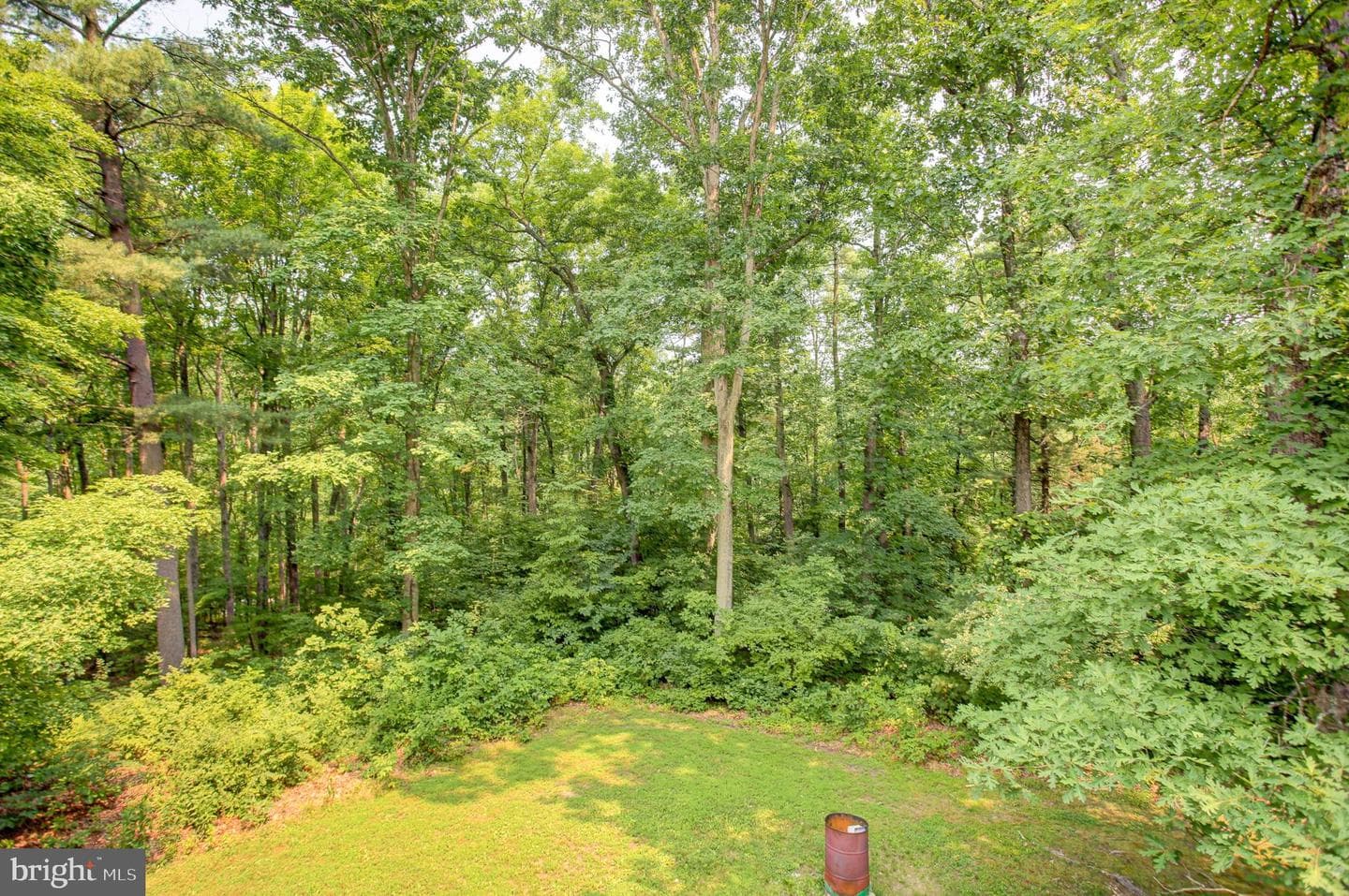 845 Oak Ridge Dr photo 47