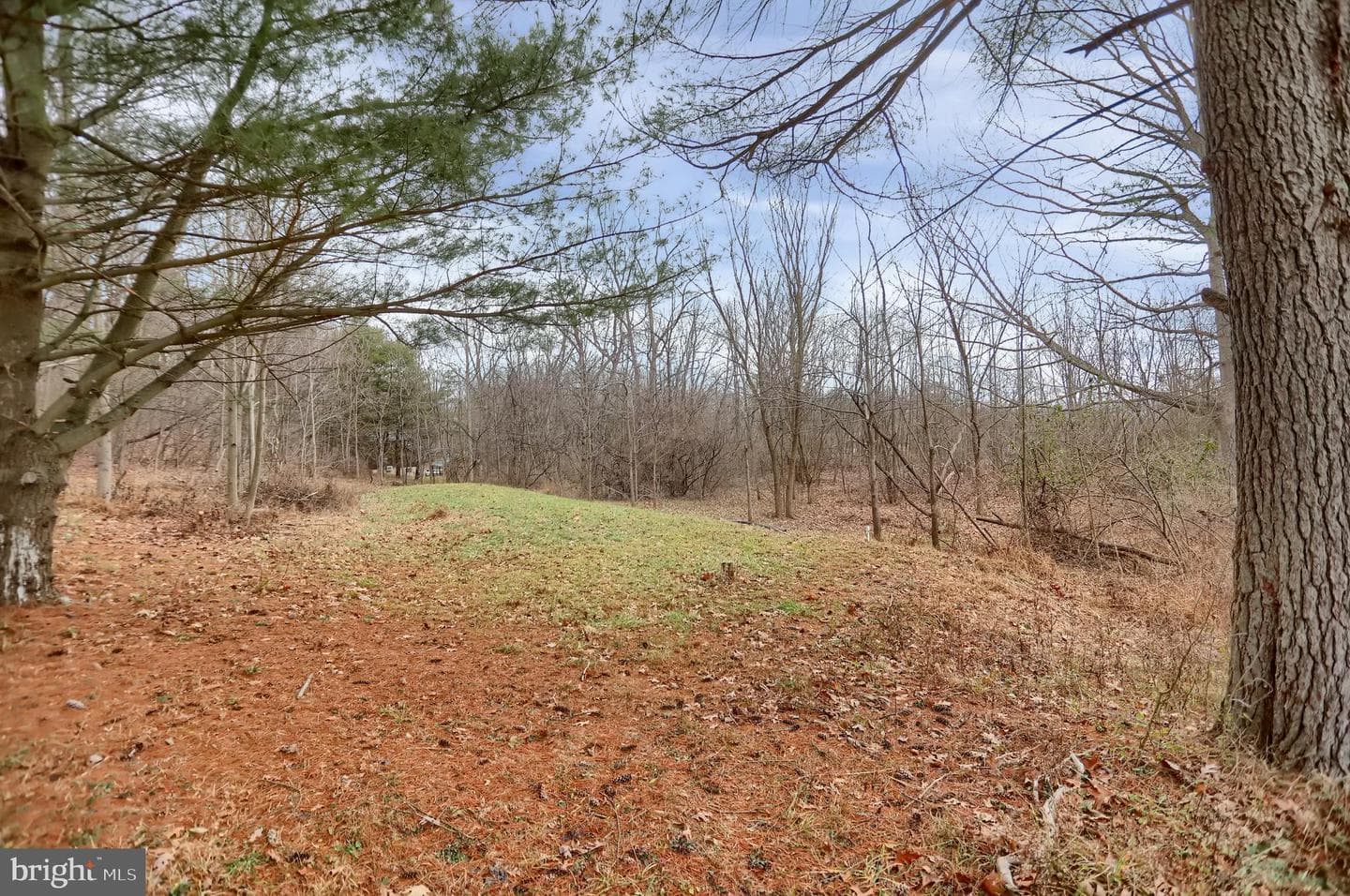 2716 Whitesel Rd photo 11