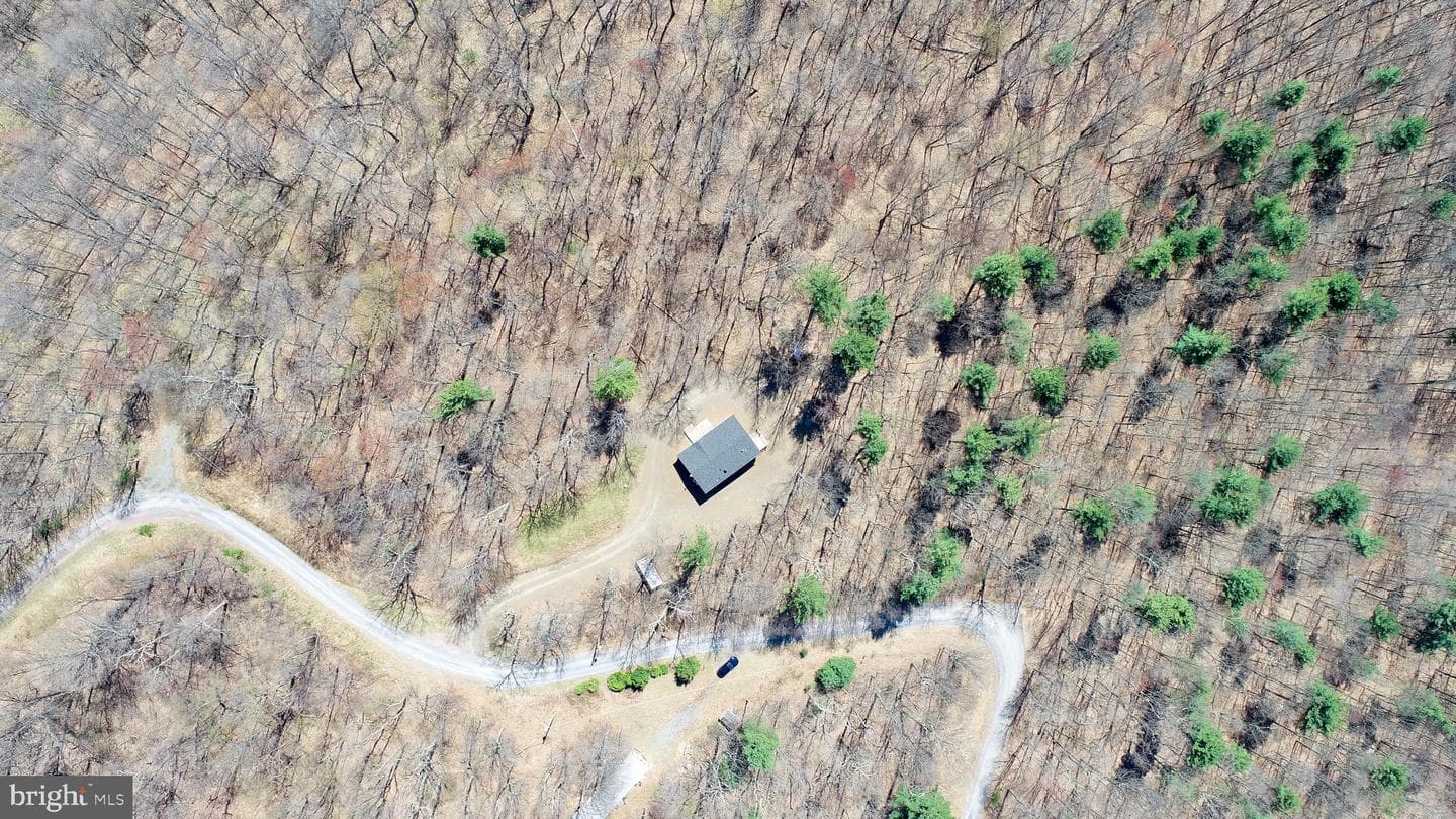 8008 Mt View Drive photo 6