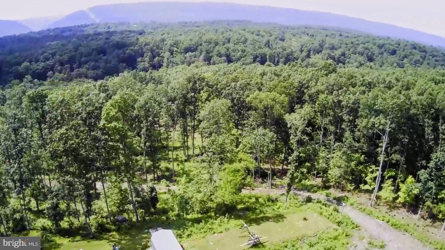 22262 Deer Run photo 4