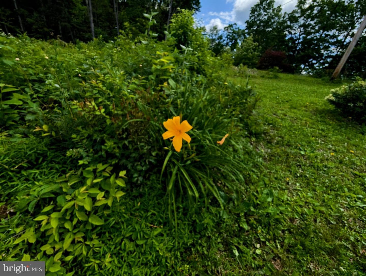 22262 Deer Run photo 48