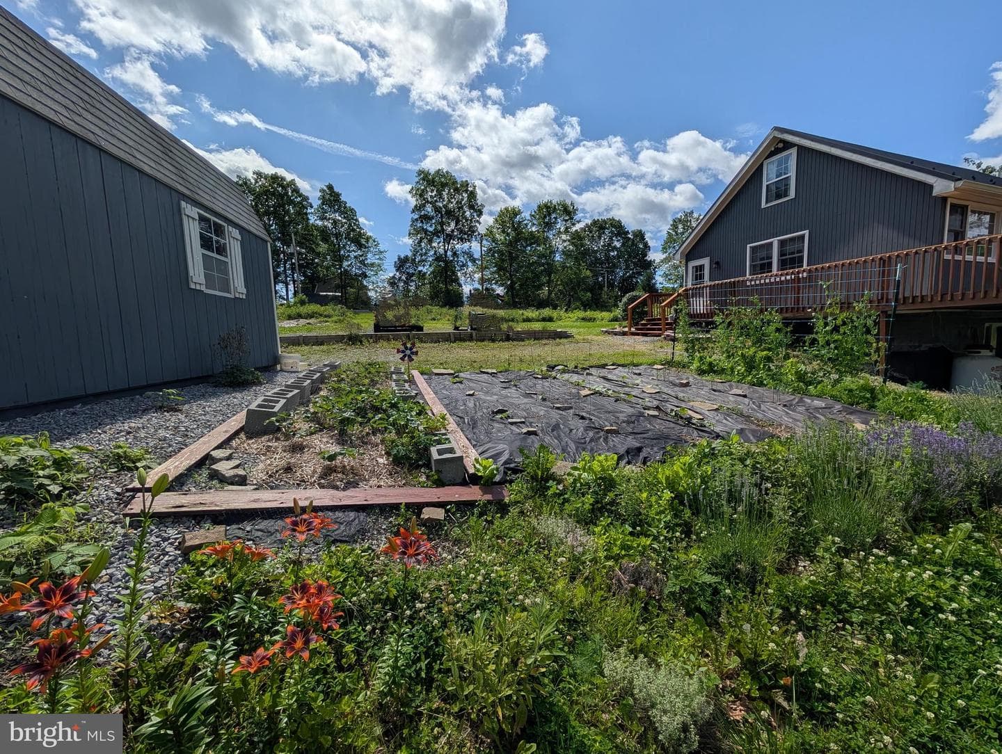 22262 Deer Run photo 54