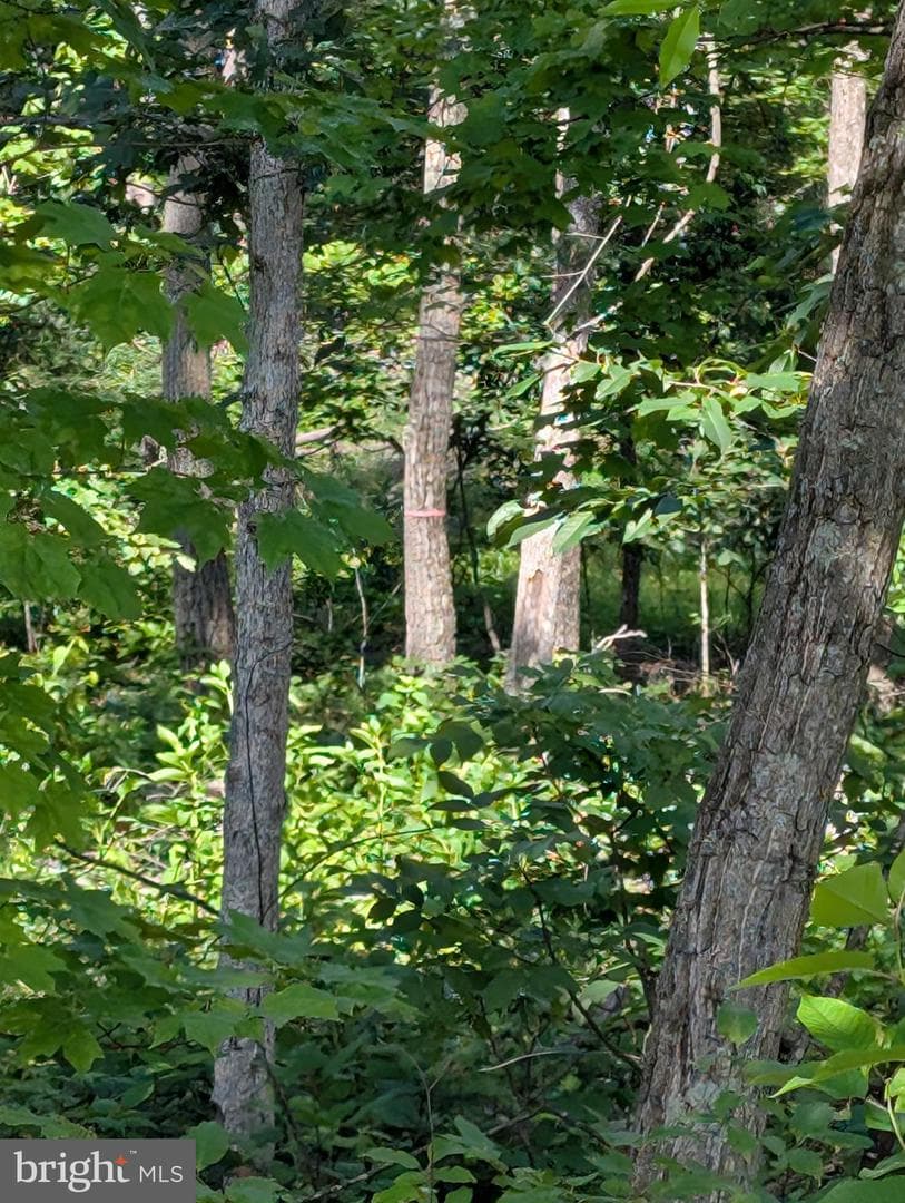 22262 Deer Run photo 56