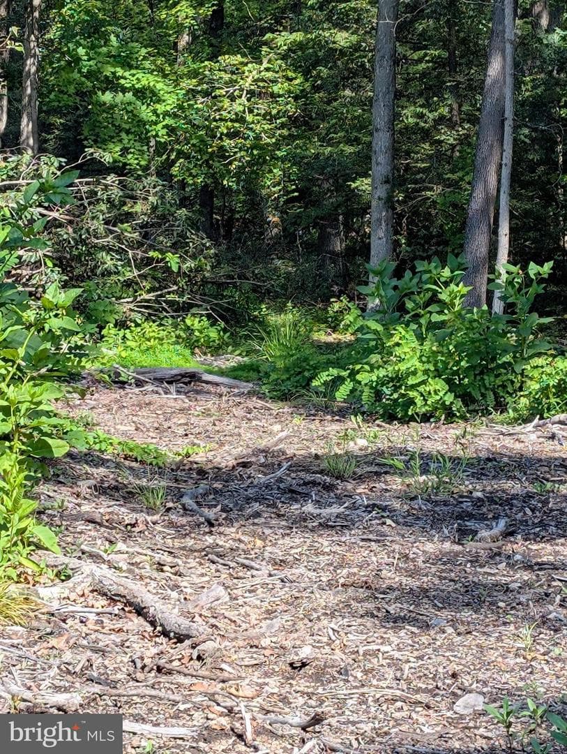 22262 Deer Run photo 57