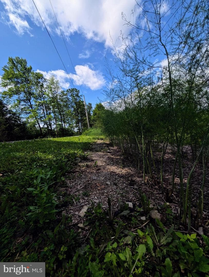 22262 Deer Run photo 62