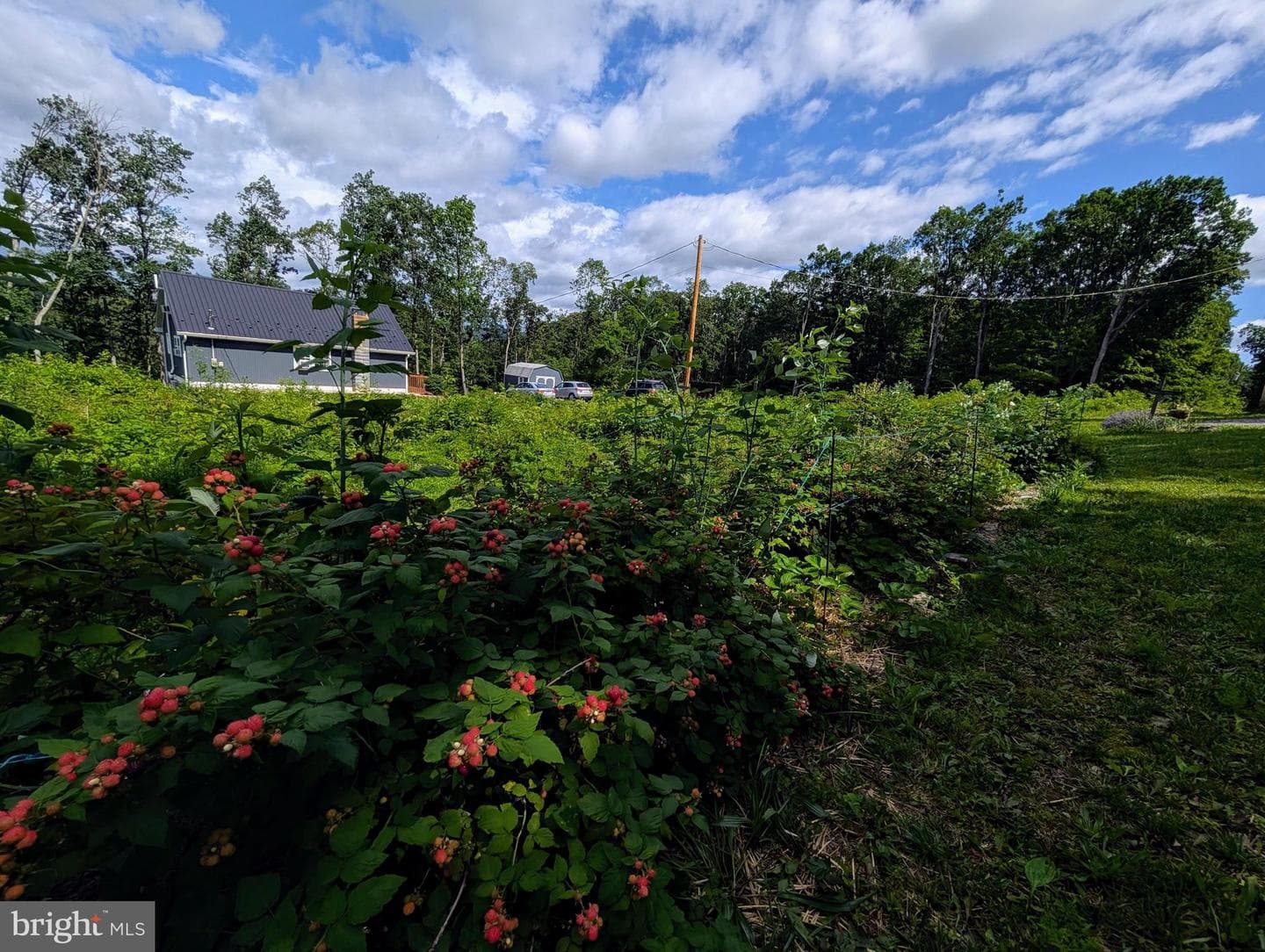 22262 Deer Run photo 63