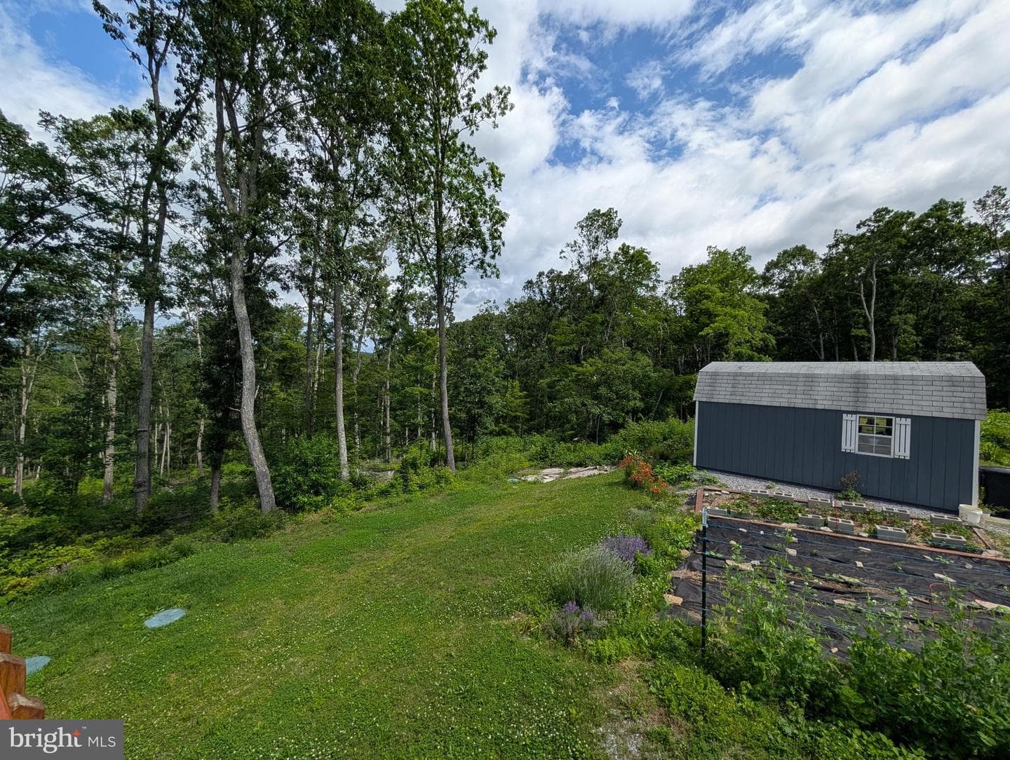 22262 Deer Run photo 65