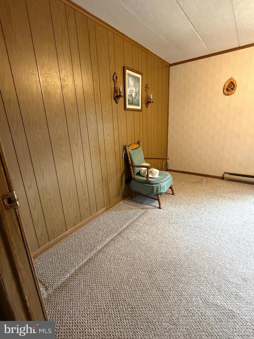 11740 Big Valley Pike photo 42