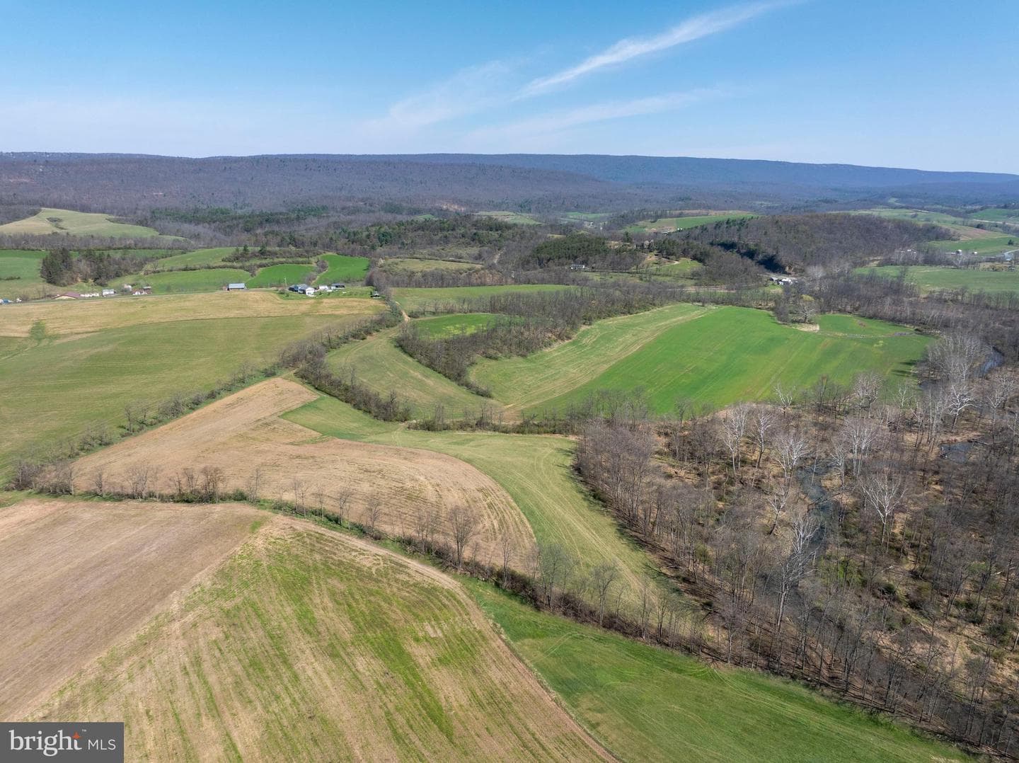 5859 Bethel Road photo 111