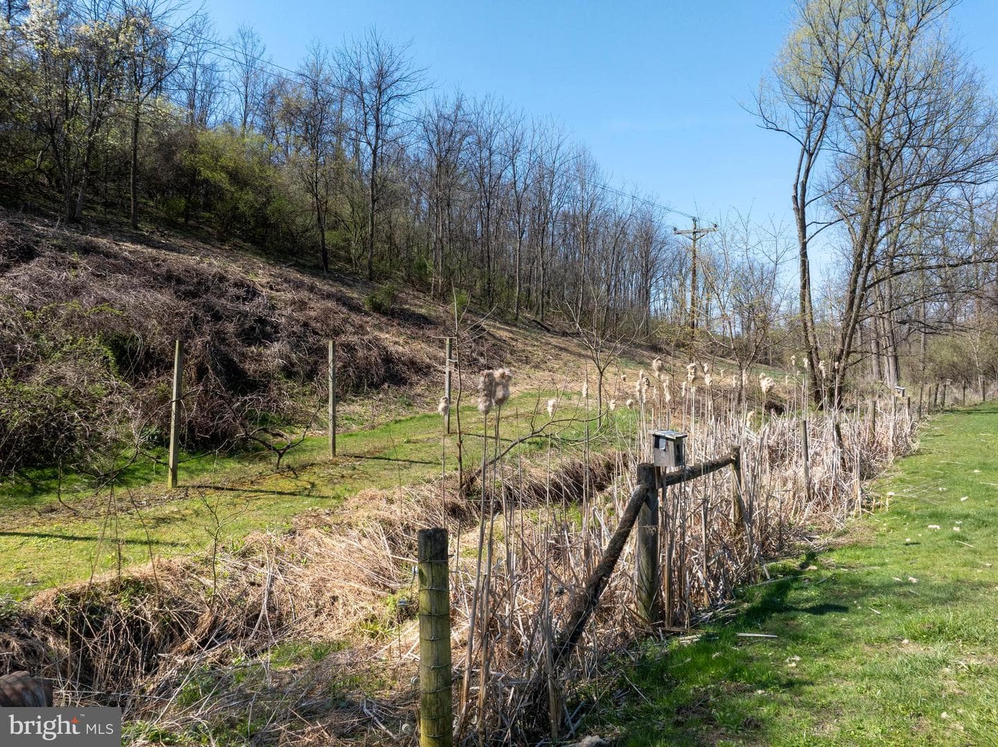 5859 Bethel Road photo 112