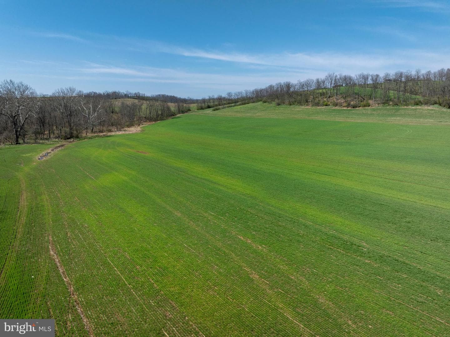 5859 Bethel Road photo 119