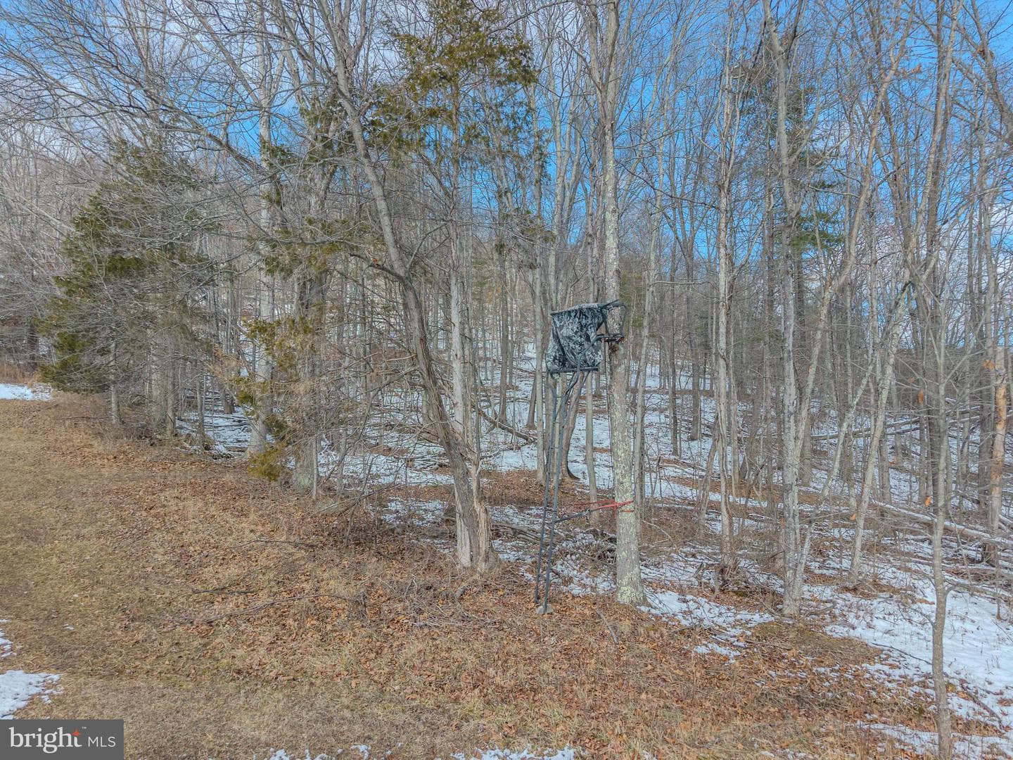 21697 View Drive photo 31