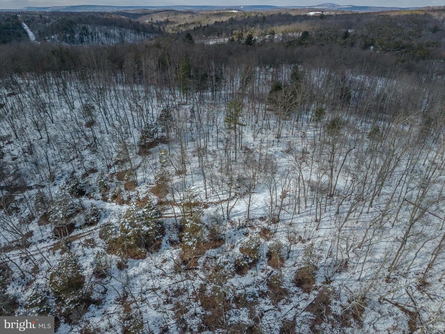 21697 View Drive photo 33