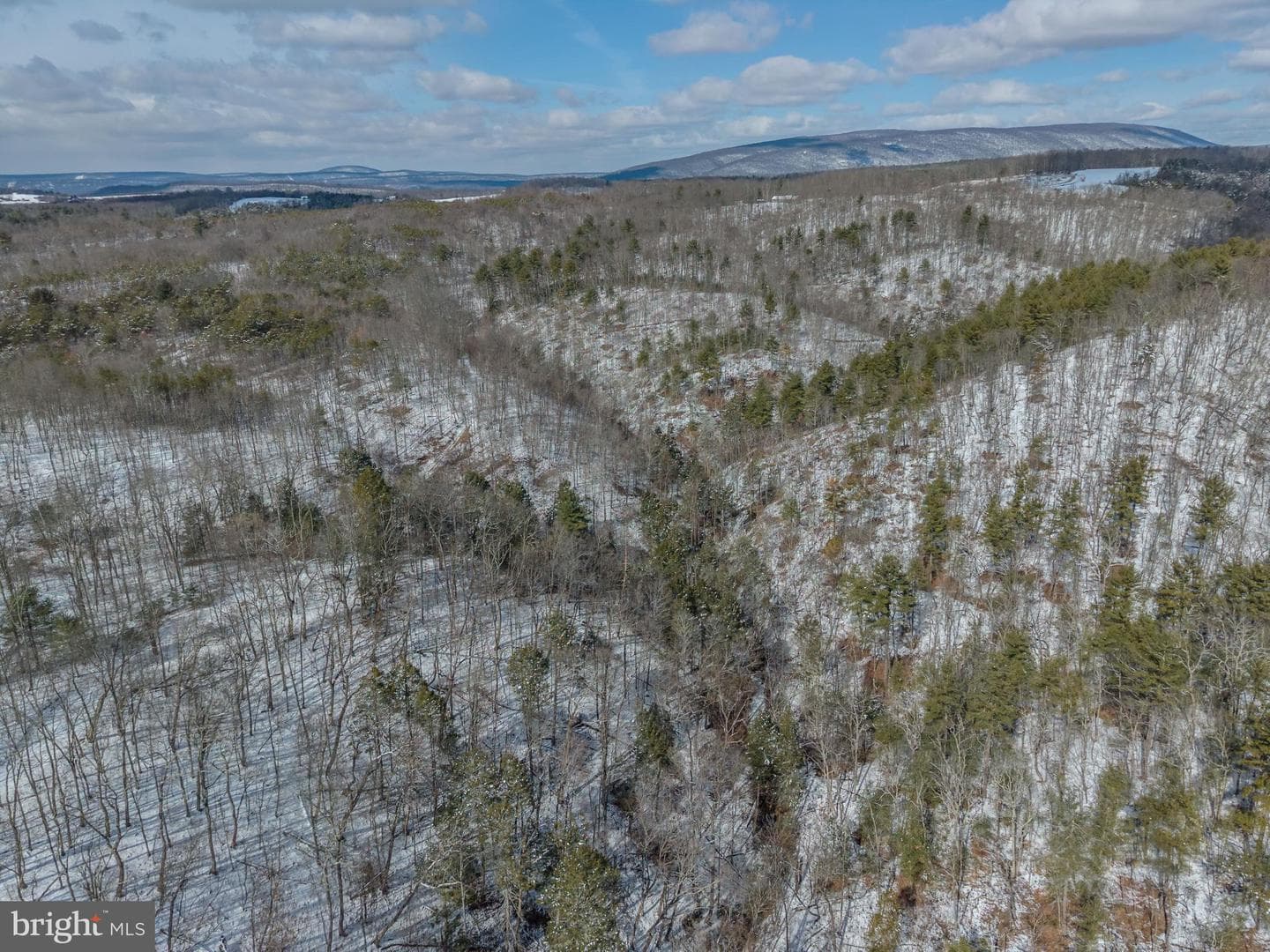 21697 View Drive photo 35