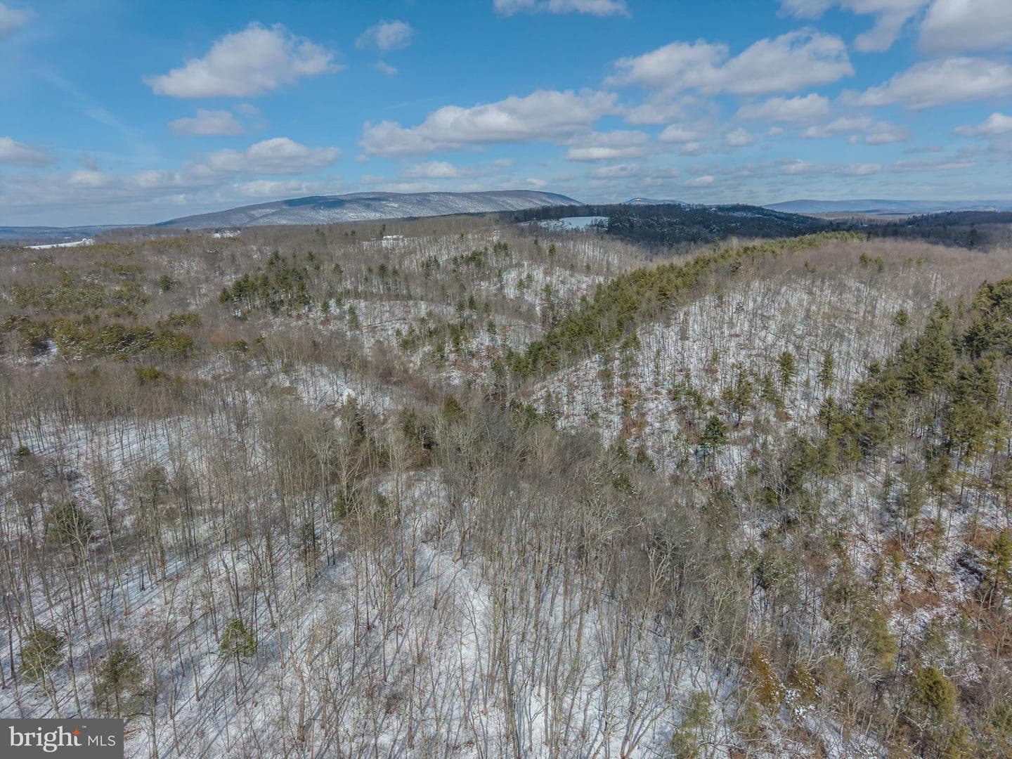 21697 View Drive photo 38