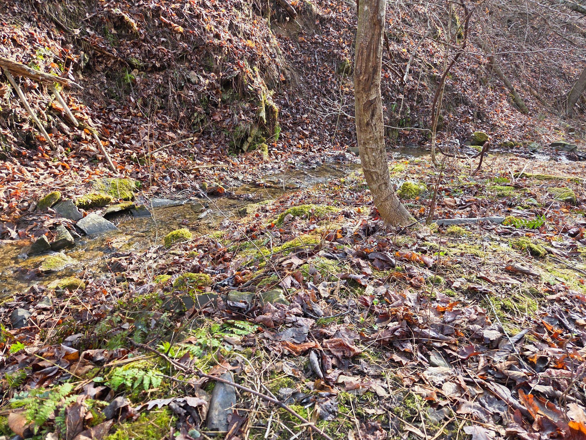 21697 View Drive photo 61