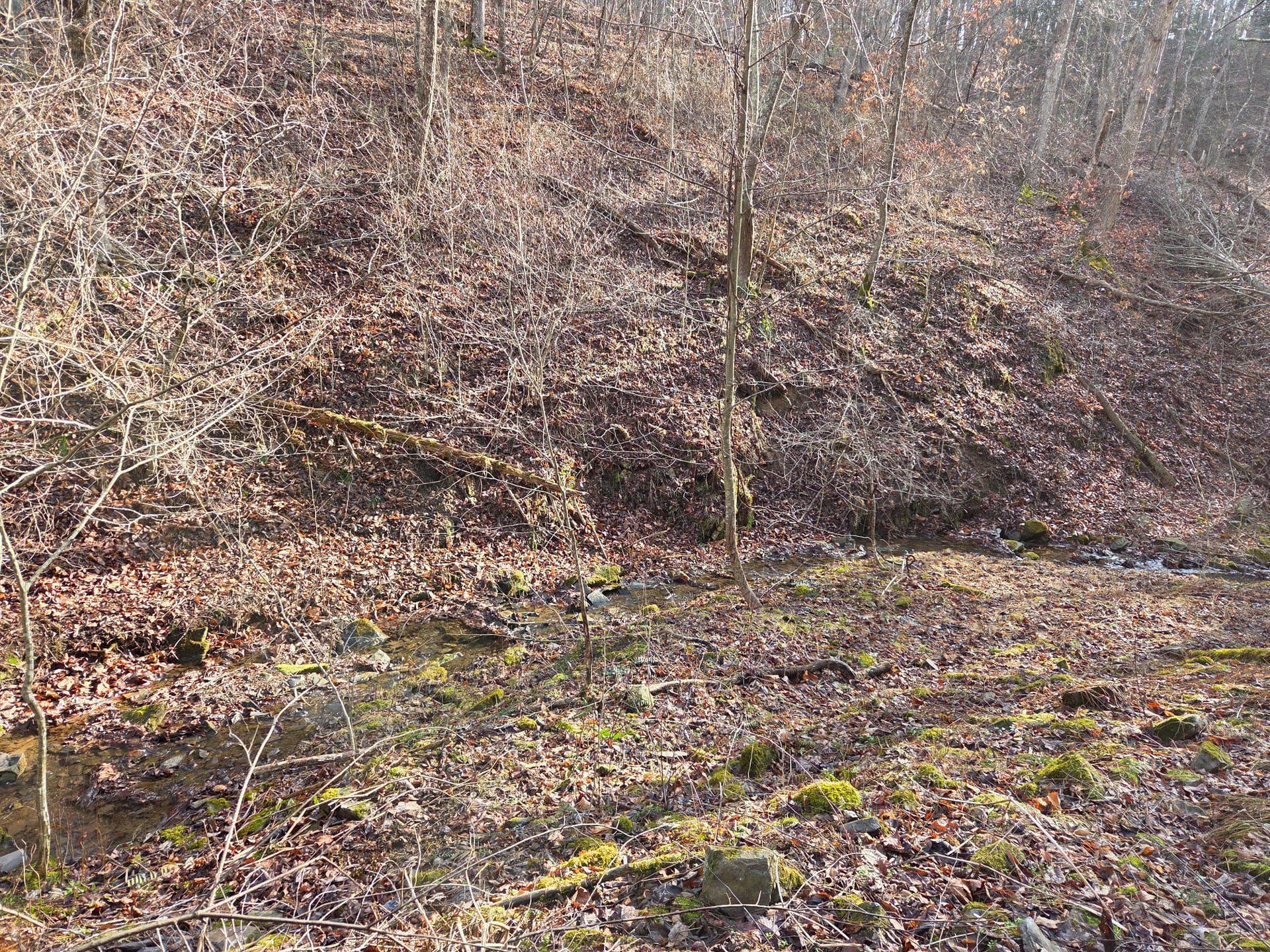21697 View Drive photo 64