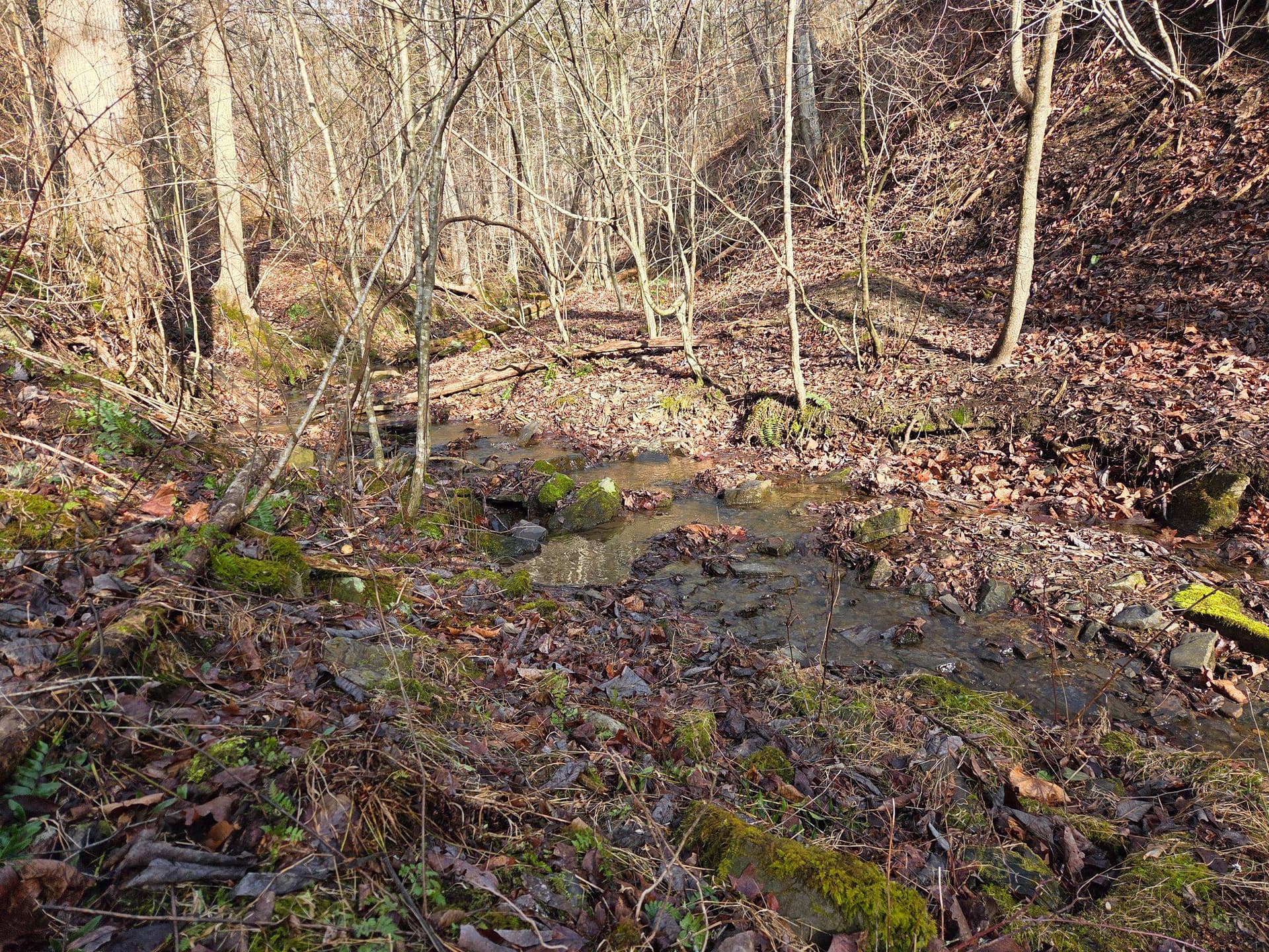 21697 View Drive photo 65