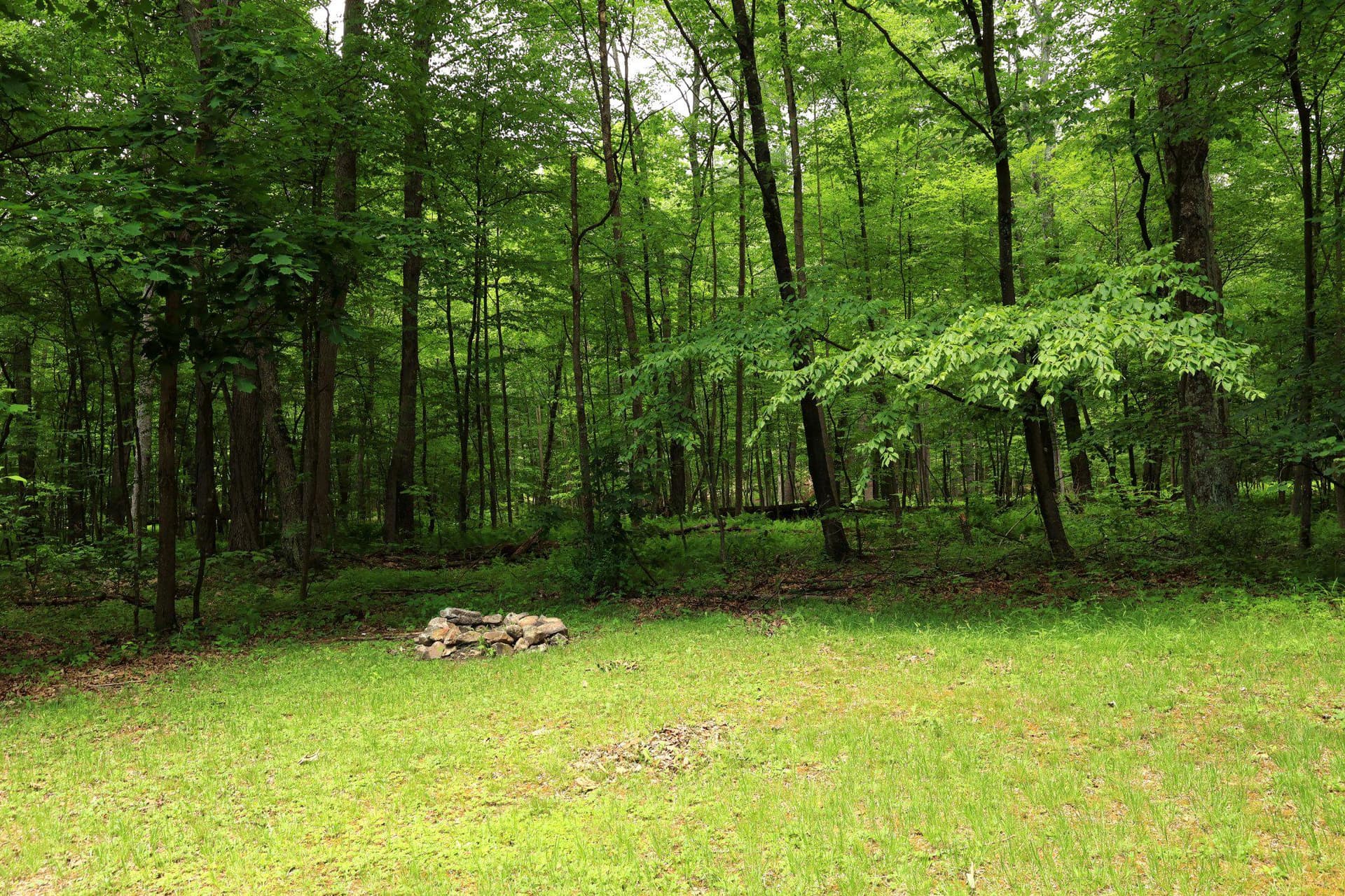 4464 Tram Road photo 45